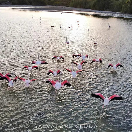 Angolo Di Relax Lägenhet Sestu